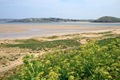 Low tide across the Camel estuary