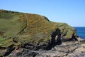  A punishing staircase of 144 steps followed by 30 more cut through the gorse leaving Pine Haven