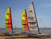 Hobie Cats