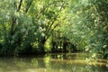 The marais seen from a barque