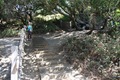 Carol on the San Andreas fault line by the dislocated fence