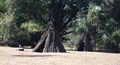Miwok redwood bark homes