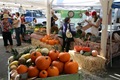 Point Reyes farmers market