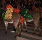 Donkeys bearing gifts