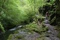 Carol In Lydford Gorge