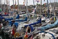 A crowded Padstow harbour