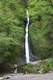 White Lady Waterfall