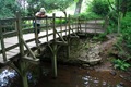 Carol waits for the Pooh Sticks to appear