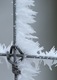 Frosty Fence