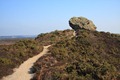 Agglestone Rock towering above Godlingston Heath