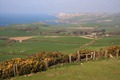 The coastal view from near Swyre Head