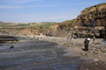 Fossil hunters in Kimmeridge Bay