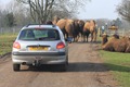 New traffic calming measures