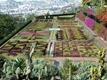Funchal_botanical_gardens
