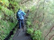 Madeira_day2_levada2