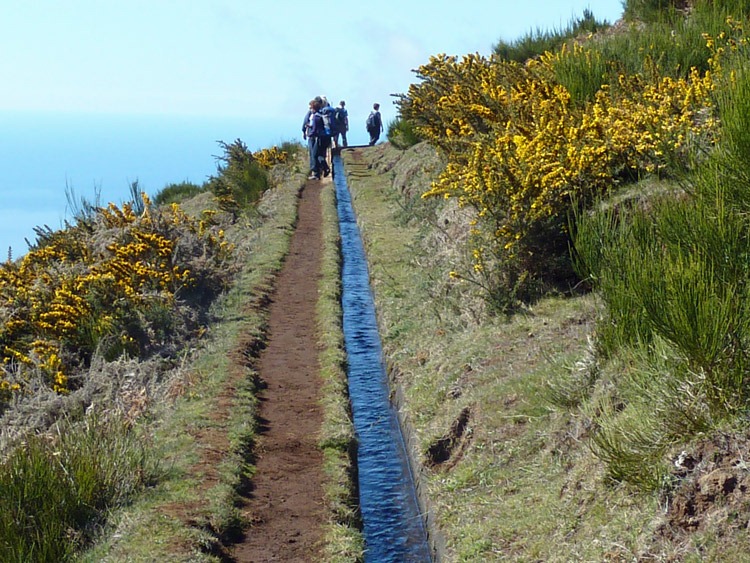 Levadas Madeira Google Earth