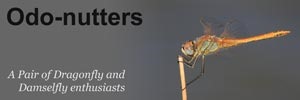 Odo-nutters-Banner