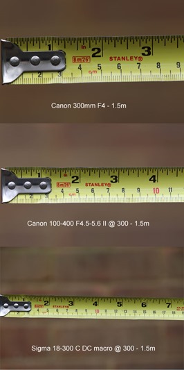 300mm-3-way-lens-comparison