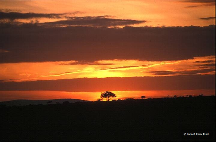 Sunrise.JPG