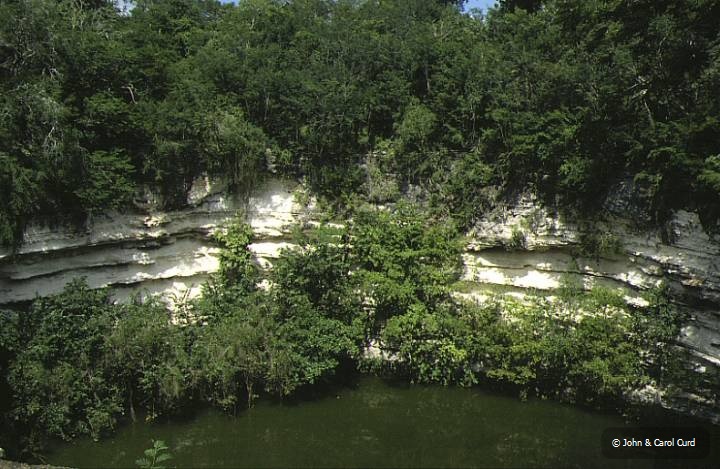 Cenote.JPG