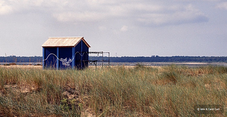 France02-04.jpg
