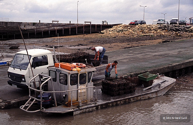 France02-05.jpg