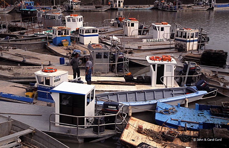 France02-07.jpg