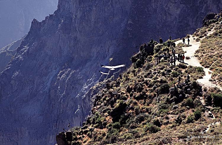 Peru07.jpg