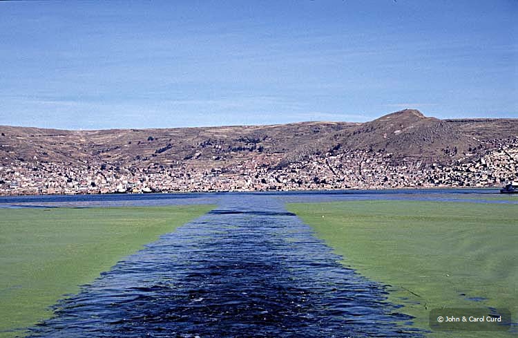 Peru14.jpg