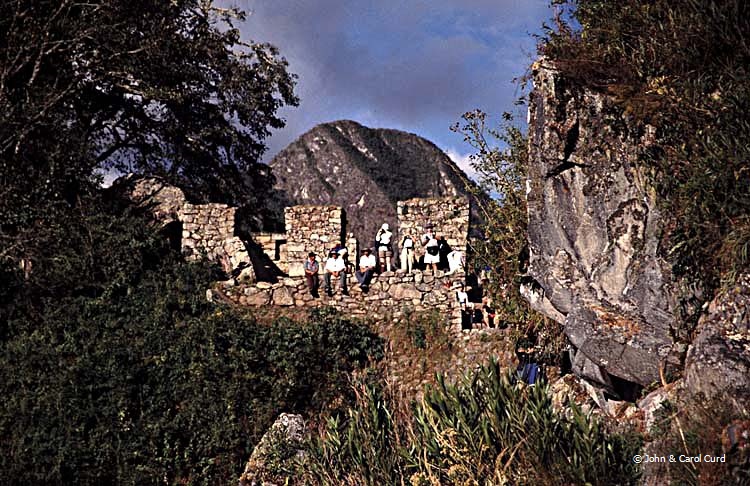 Peru50.jpg