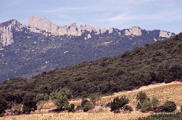 C0027.jpg