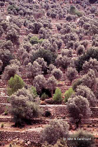 C0012.jpg