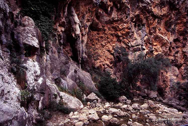 C0015.jpg