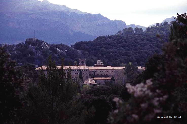 C0019.jpg