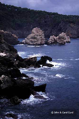 J0005.jpg