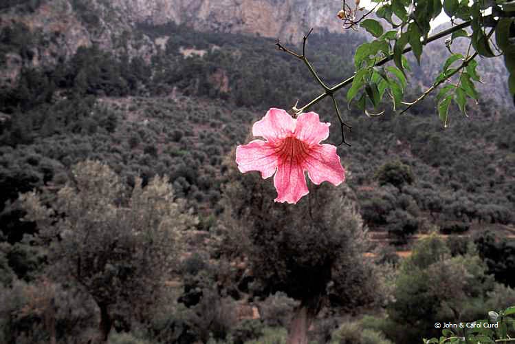 J0023.jpg