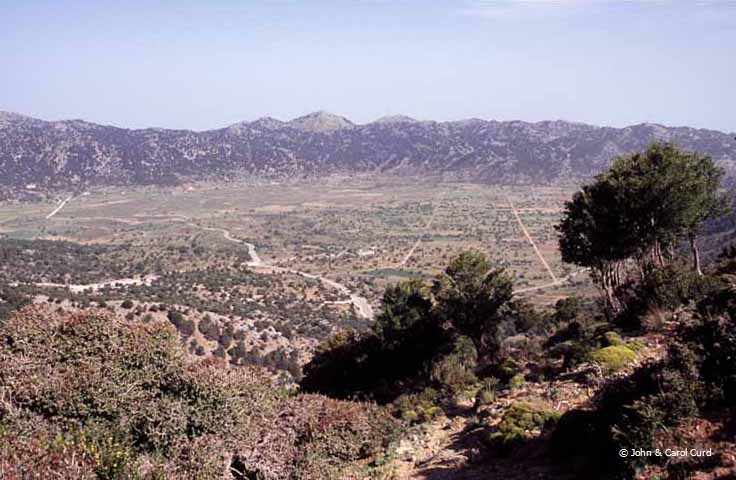 C0009.jpg