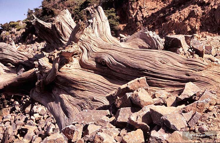 C0010.jpg