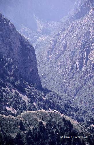 C0014.jpg