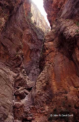 C0029.jpg