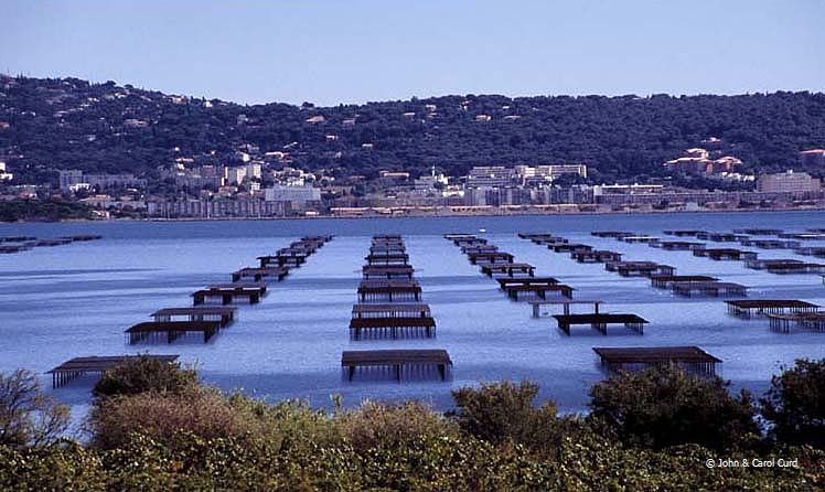 C0014.jpg