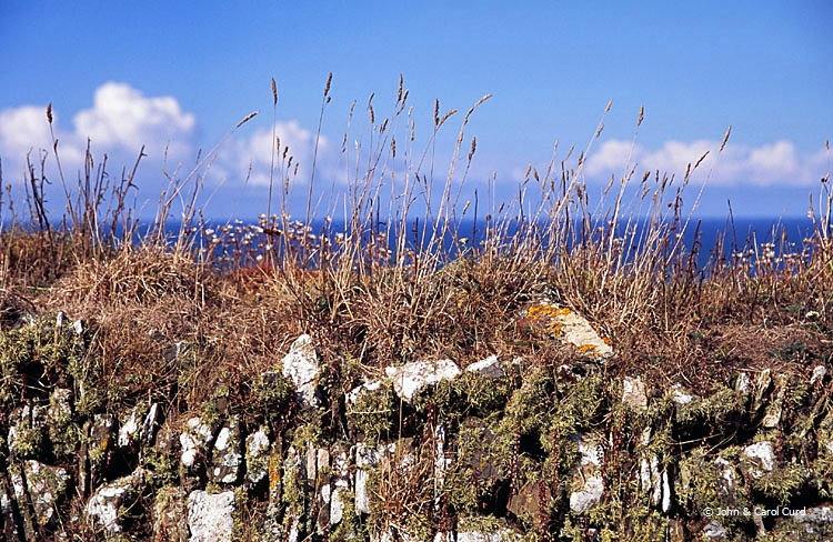 C0015.jpg
