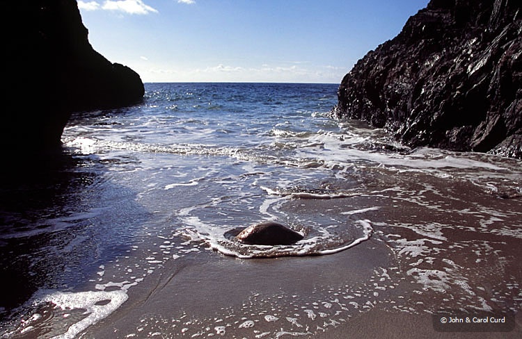 C0035.jpg