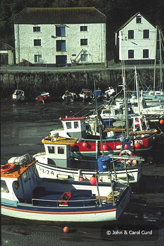 C0039.jpg