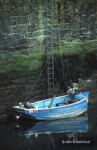 C0041.jpg
