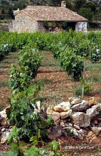 J0004.jpg