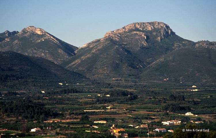 J0005.jpg