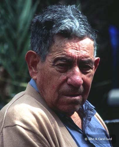 J0008.jpg