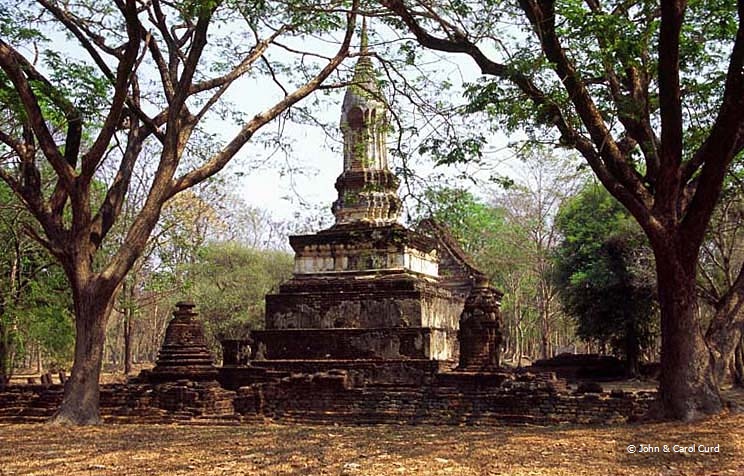 C0047.jpg