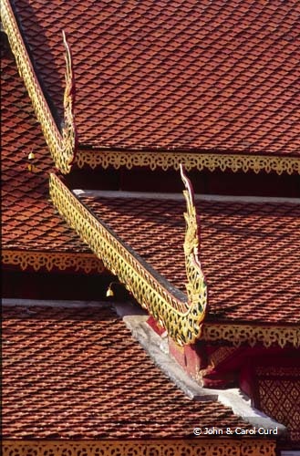 J0019.jpg